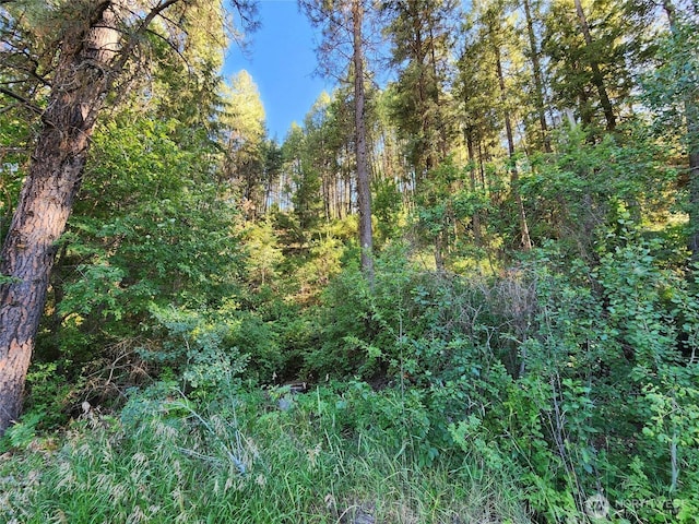 31300 Aspen Ln E, Davenport, WA 99122 - photo 22