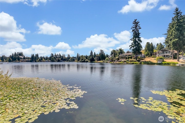 3135 S 273rd St, Auburn, WA 98001 - photo 33
