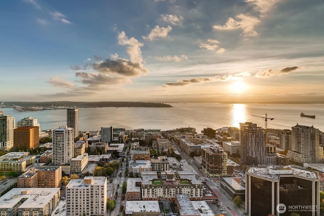 588 Bell St Unit 1502, Seattle, WA 98121 - photo 27