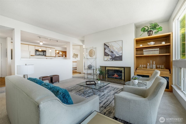 3700 26th Pl W Unit 402, Seattle, WA 98199 - photo 4