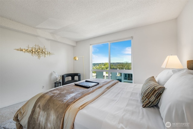3700 26th Pl W Unit 402, Seattle, WA 98199 - photo 15