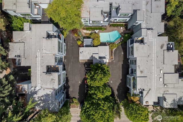 3700 26th Pl W Unit 402, Seattle, WA 98199 - photo 24