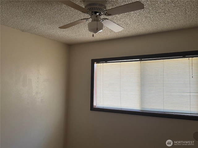 1114 N 1st Ave, Kelso, WA 98632 - photo 9
