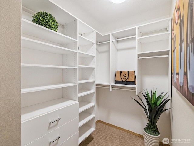 1318 37th St Unit 2-428, Everett, WA 98201 - photo 19