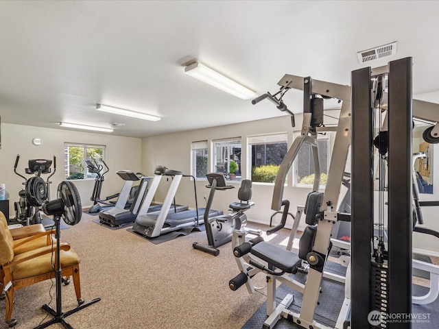 1318 37th St Unit 2-428, Everett, WA 98201 - photo 29
