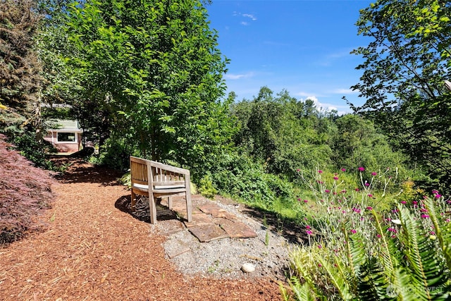 17401 Renton Maple Valley Rd SE, Maple Valley, WA 98038 - photo 32