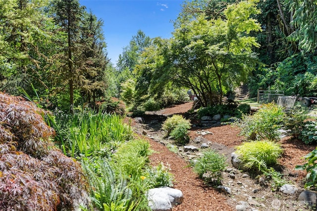 17401 Renton Maple Valley Rd SE, Maple Valley, WA 98038 - photo 33