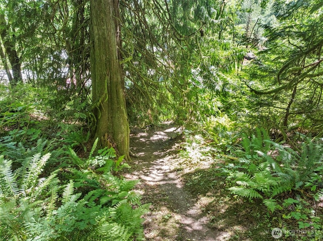 17401 Renton Maple Valley Rd SE, Maple Valley, WA 98038 - photo 35