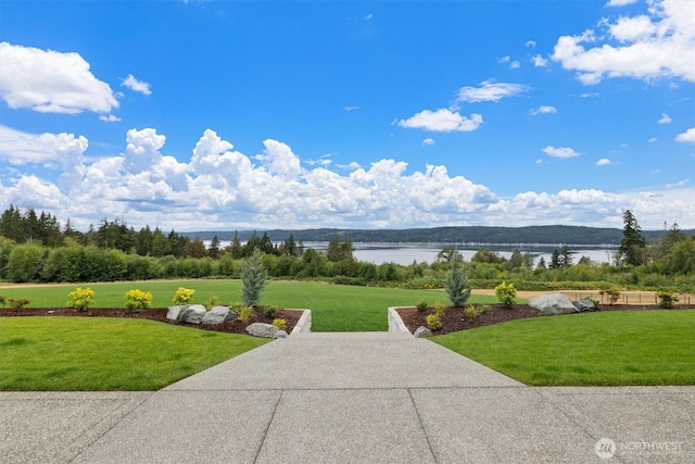 151 E Windy Ridge Ln, Belfair, WA 98528 - photo 33