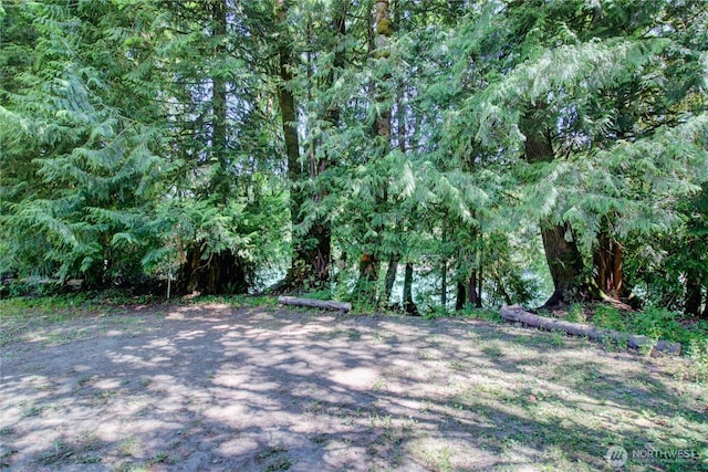 44127 S Skagit Hwy, Concrete, WA 98237 - photo 21