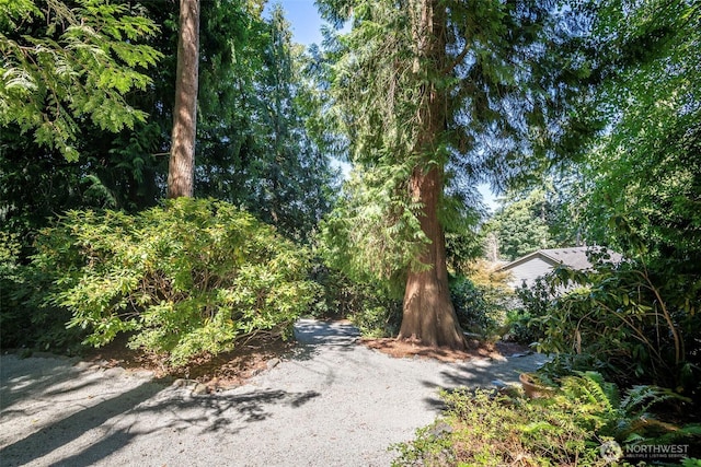 2703 5th St SW, Puyallup, WA 98373 - photo 35