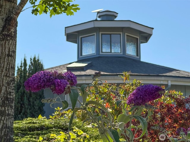 63 Hummingbird Ln, Sequim, WA 98382 - photo 6