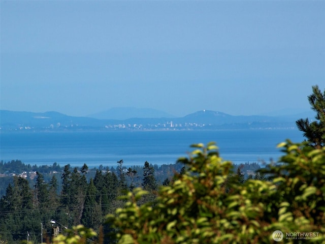 63 Hummingbird Ln, Sequim, WA 98382 - photo 11