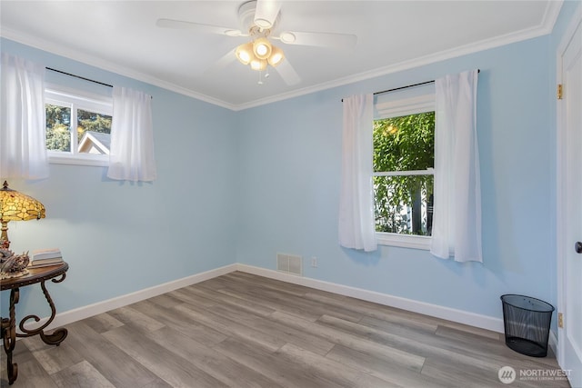 223 R St SE, Auburn, WA 98002 - photo 12