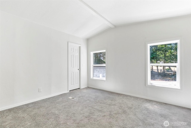 2601 250th St, Ocean Park, WA 98640 - photo 23