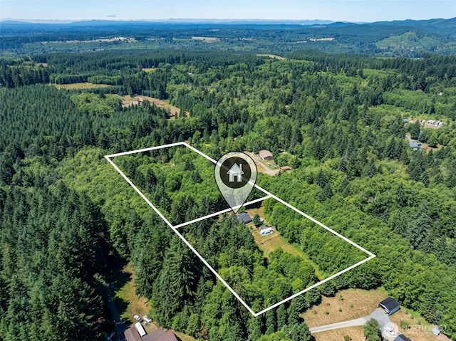56429 Burnt Ridge Rd, Onalaska, WA 98570 - photo 35
