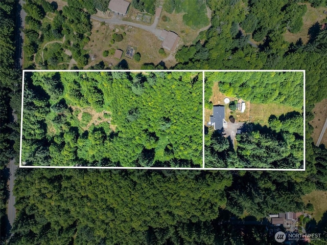 56429 Burnt Ridge Rd, Onalaska, WA 98570 - photo 34