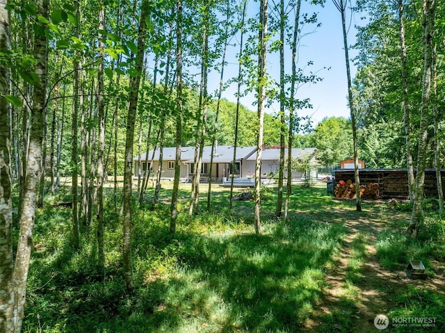 56429 Burnt Ridge Rd, Onalaska, WA 98570 - photo 33