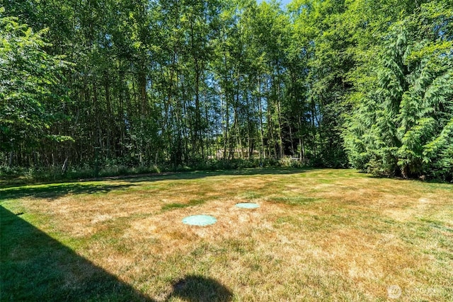 56429 Burnt Ridge Rd, Onalaska, WA 98570 - photo 31