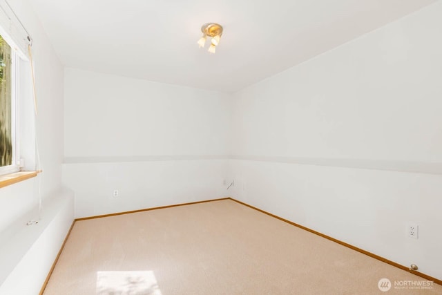 6501 21st Ave NW, Seattle, WA 98117 - photo 23