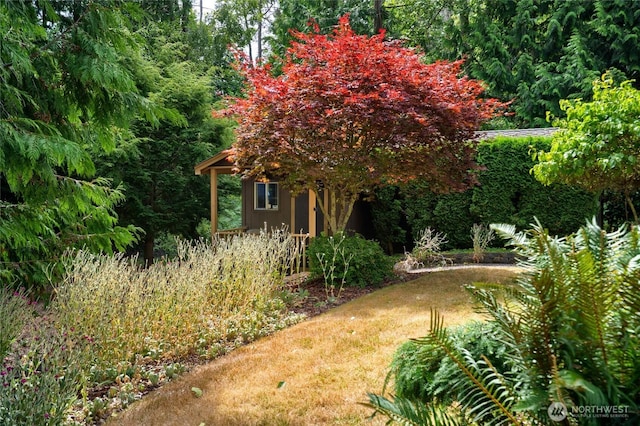 2311 Forest View Ln, Anacortes, WA 98221 - photo 35