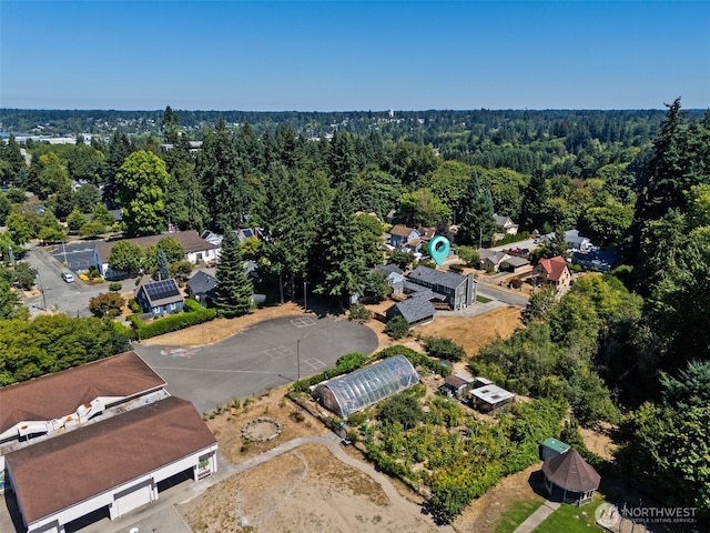2117 Adams St SE, Olympia, WA 98501 - photo 8