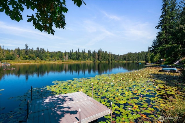 13615 Twin Lakes Dr E, Graham, WA 98338 - photo 33