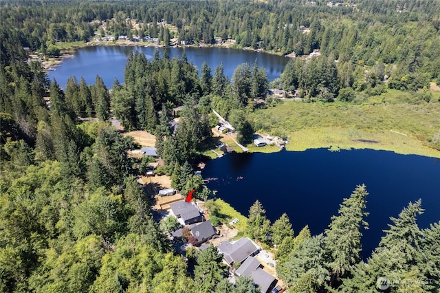 13615 Twin Lakes Dr E, Graham, WA 98338 - photo 39