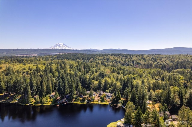 13615 Twin Lakes Dr E, Graham, WA 98338 - photo 40