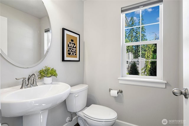 310 181st St SE, Bothell, WA 98012 - photo 21