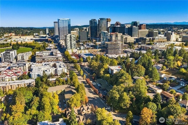 303 Bellevue Way SE, Bellevue, WA 98004 - photo 2
