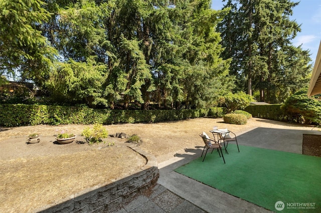 10719 115th Ave SW, Tacoma, WA 98498 - photo 27