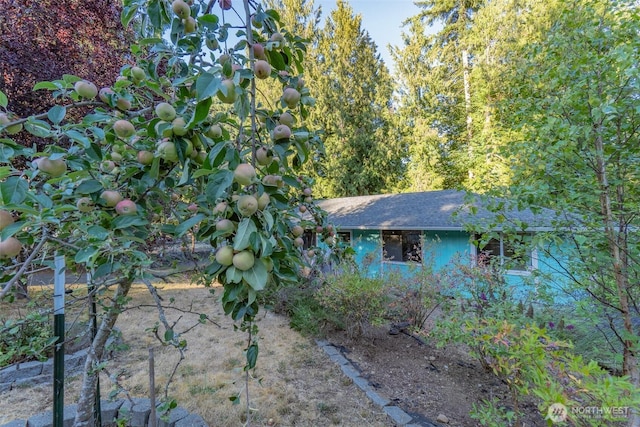 7412 Tsuga Ct SW, Olympia, WA 98512 - photo 22