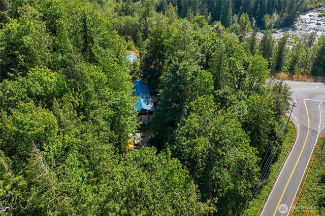 49424 Index-Galena Rd, Index, WA 98256 - photo 26