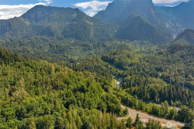 49424 Index-Galena Rd, Index, WA 98256 - photo 29