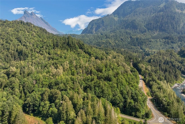 49424 Index-Galena Rd, Index, WA 98256 - photo 30