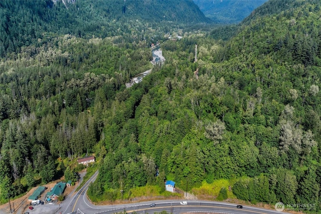 49424 Index-Galena Rd, Index, WA 98256 - photo 31