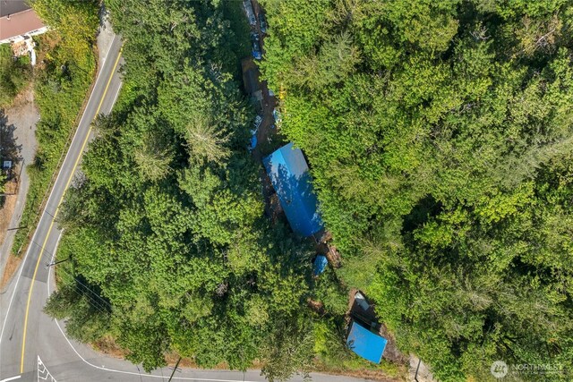 49424 Index-Galena Rd, Index, WA 98256 - photo 32