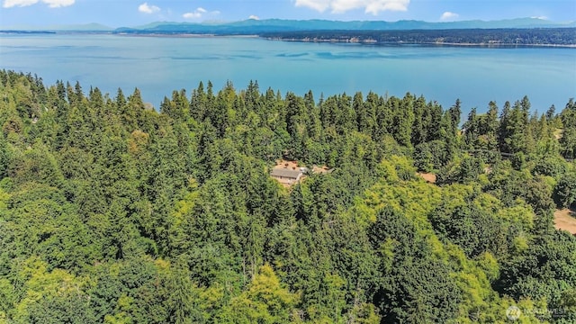 2650 S E Camano Dr, Camano Island, WA 98282 - photo 5