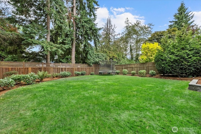 6815 43rd Ave NE, Seattle, WA 98115 - photo 10