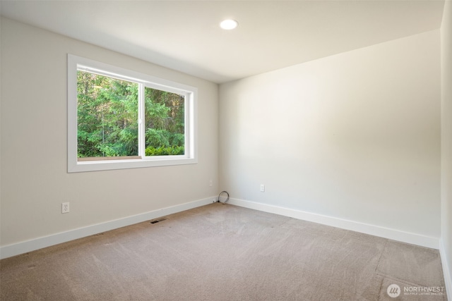 52 E Mikkelsen Rd, Shelton, WA 98584 - photo 20