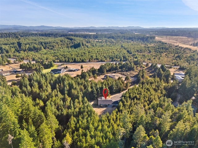 52 E Mikkelsen Rd, Shelton, WA 98584 - photo 36
