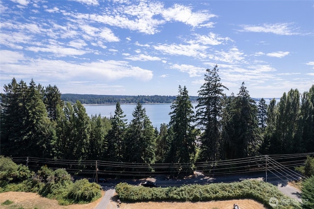 8123 State Route 302, Gig Harbor, WA 98329 - photo 38