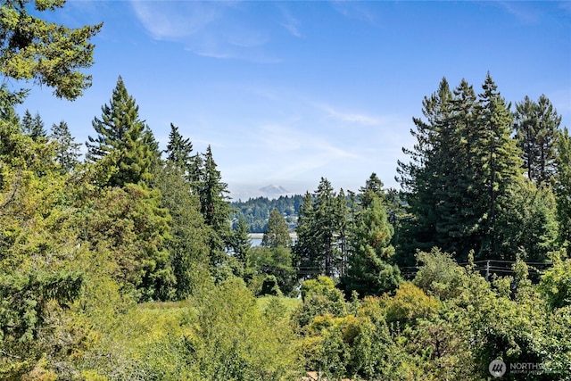 8123 State Route 302, Gig Harbor, WA 98329 - photo 39