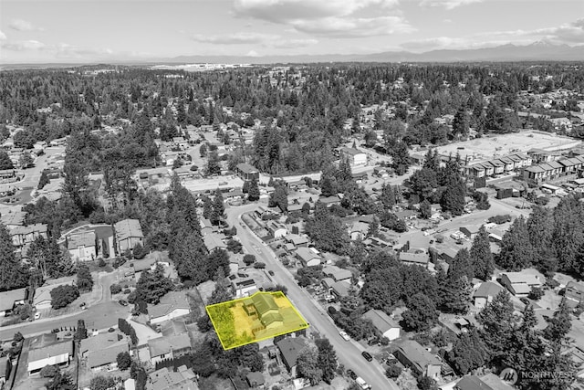 15028 45th Pl W, Lynnwood, WA 98087 - photo 39
