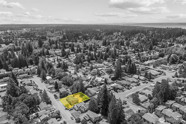 15028 45th Pl W, Lynnwood, WA 98087 - photo 40