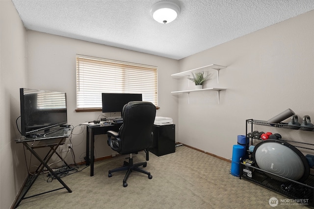 5913 87th Ave W, University Place, WA 98467 - photo 20
