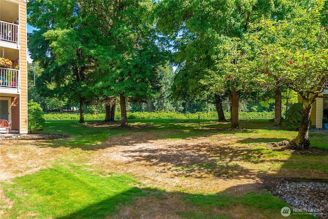 7280 W Lake Sammamish Pkwy NE Unit 4-206, Redmond, WA 98052 - photo 22