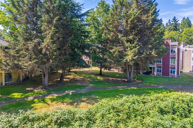 7280 W Lake Sammamish Pkwy NE Unit 4-206, Redmond, WA 98052 - photo 23
