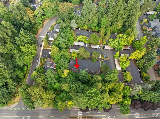 10018 NE 127th Pl Unit B109, Kirkland, WA 98034 - photo 29